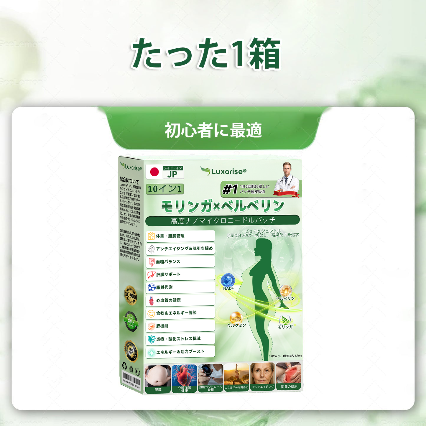 【完全新改良パッチ PLUS】🌙🌙𝑳𝒖𝒙𝒂𝒓𝒊𝒔𝒆® モリンガ＆ベルベリン 10-IN-1 高機能ナノマイクロニードルパッチ（1日1回、7日で変化を実感）✅肥満・糖尿病・睡眠時無呼吸症候群・関節の悩み向け