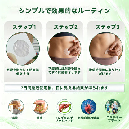 【完全新改良パッチ PLUS】🌙🌙𝑳𝒖𝒙𝒂𝒓𝒊𝒔𝒆® モリンガ＆ベルベリン 10-IN-1 高機能ナノマイクロニードルパッチ（1日1回、7日で変化を実感）✅肥満・糖尿病・睡眠時無呼吸症候群・関節の悩み向け
